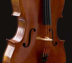 Part of front of M Gofriller model cello