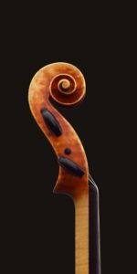 Side view of violin scroll by William Castle, based on Anselmo Bellosio