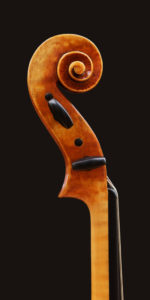 Side view of P Guarneri model viola scroll
