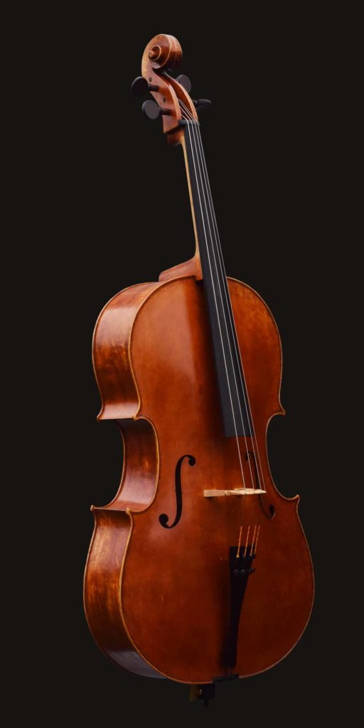 belly of Andrea Guarneri model cello made by William Castle
