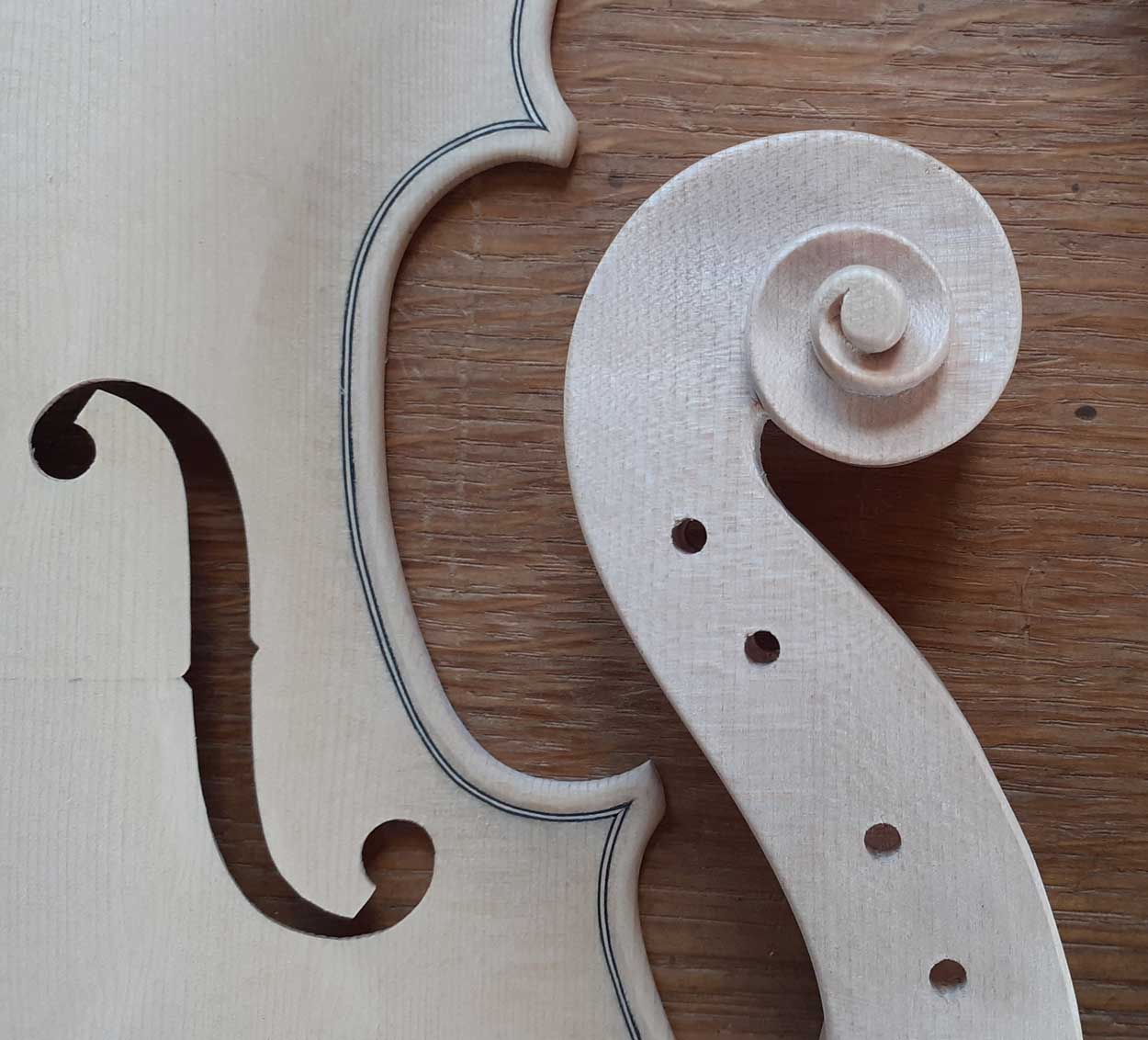 side view of violin scroll and f hole of belly