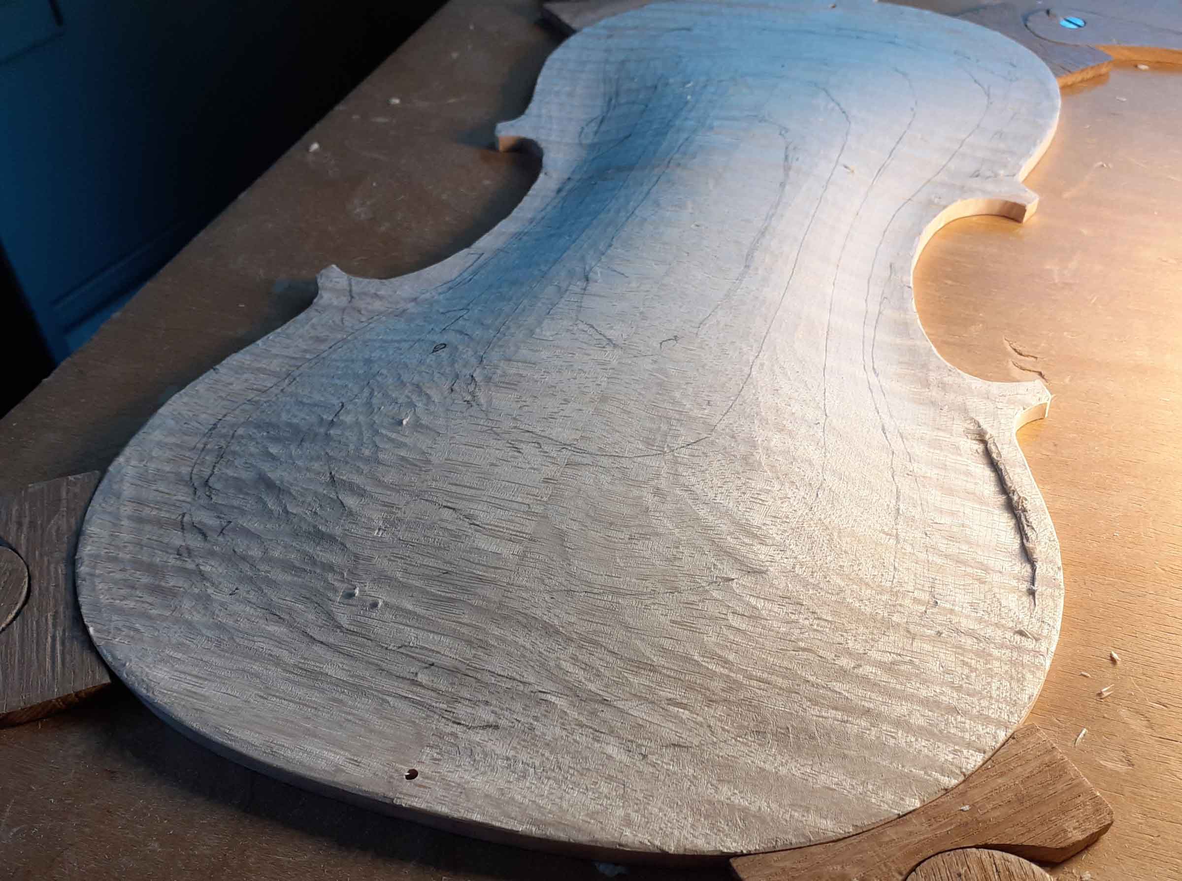 violin back nearly arched