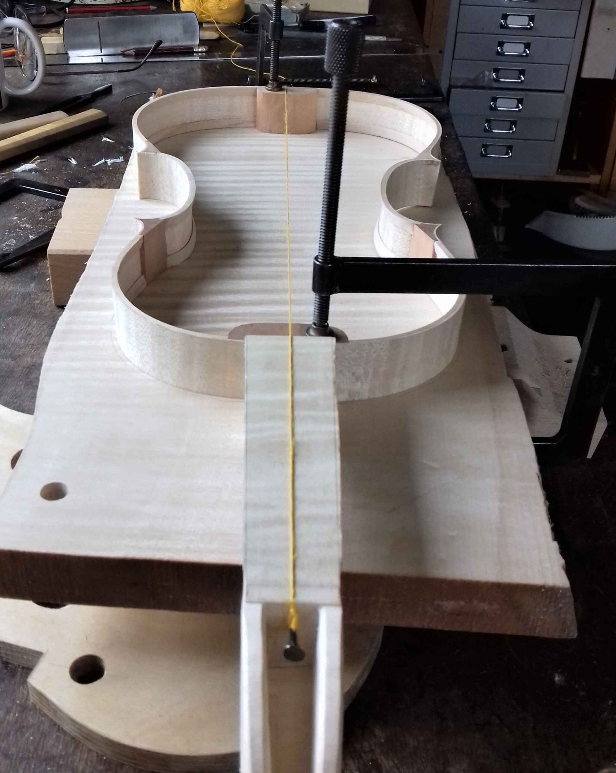 violin neck and ribs aligned on back