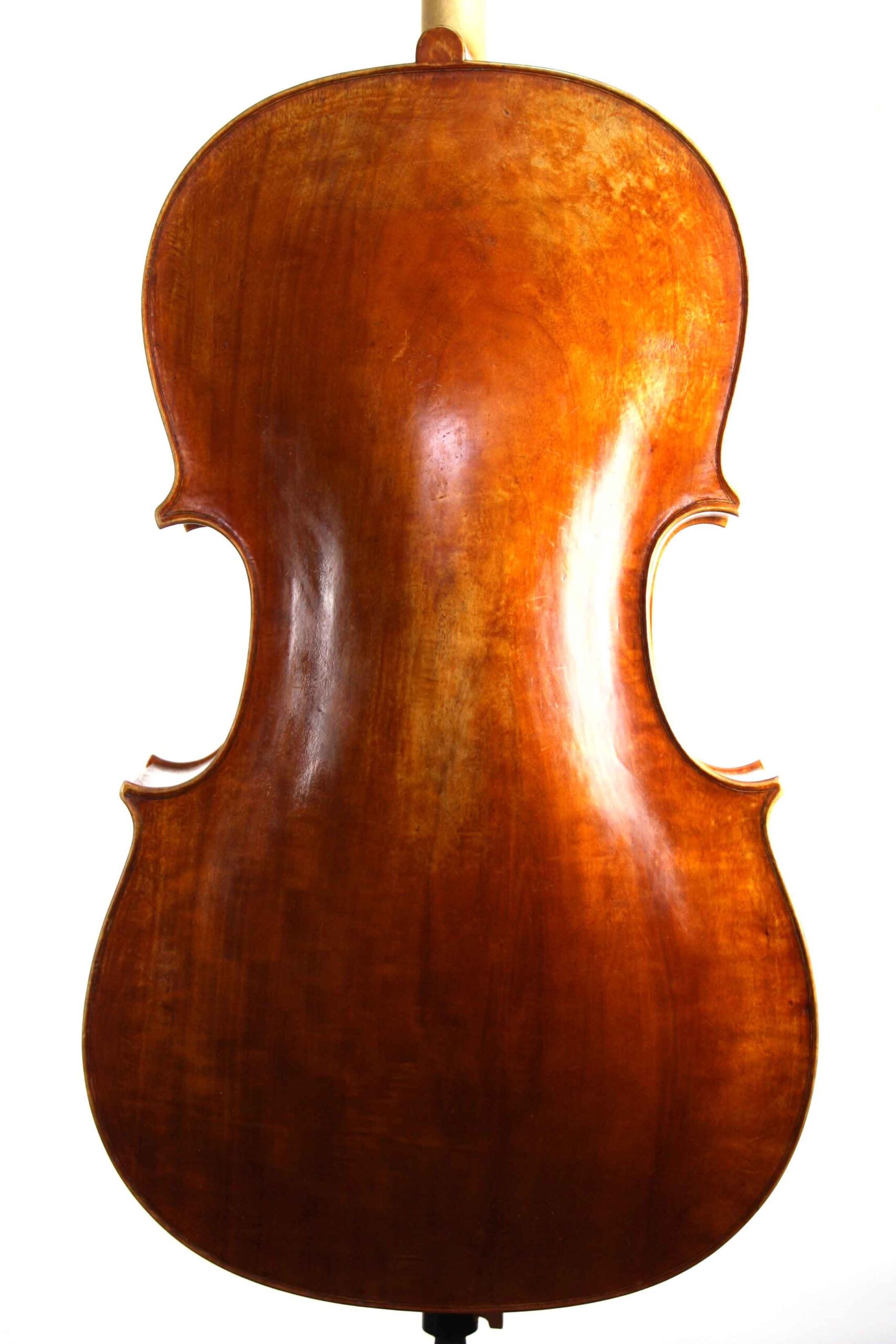 poplar back of Andrea Guarneri model cello