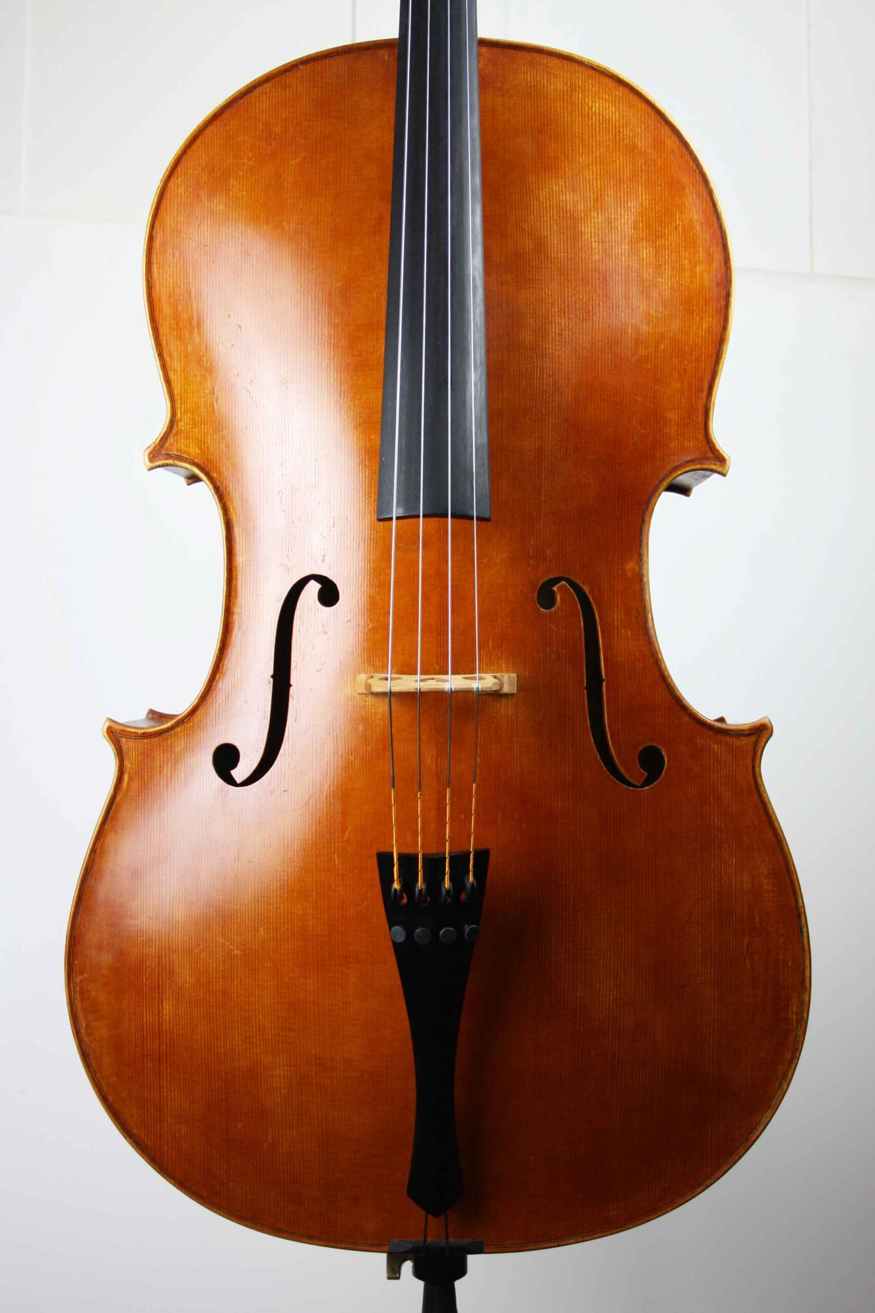 spruce belly of Andrea Guarneri model cello