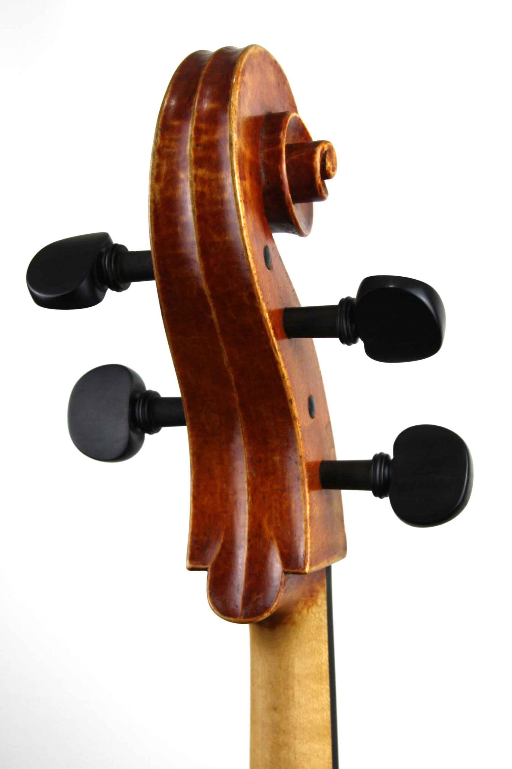 back view of Andrea Guarneri model cello